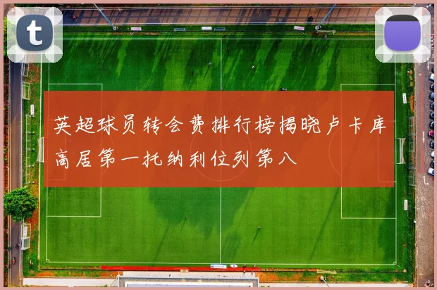 英超球员转会费排行榜揭晓卢卡库高居第一托纳利位列第八